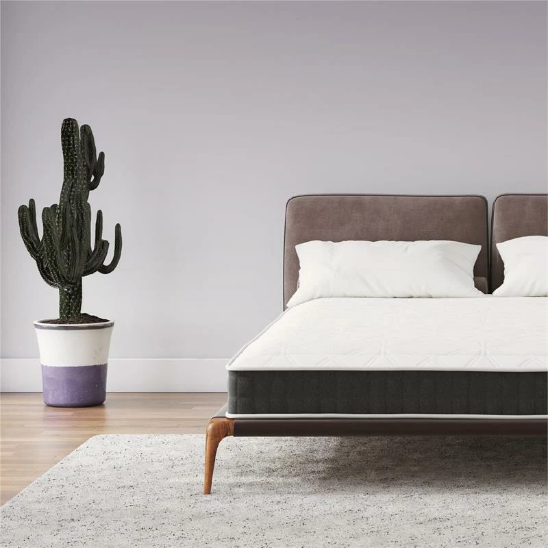 Discount π DHP Signature Sleep Contour Comfort 8-Inch Full Reversible Mattress Medium-Firm π 5 Discount π DHP Signature Sleep Contour Comfort 8-Inch Full Reversible Mattress Medium-Firm π - Image 3